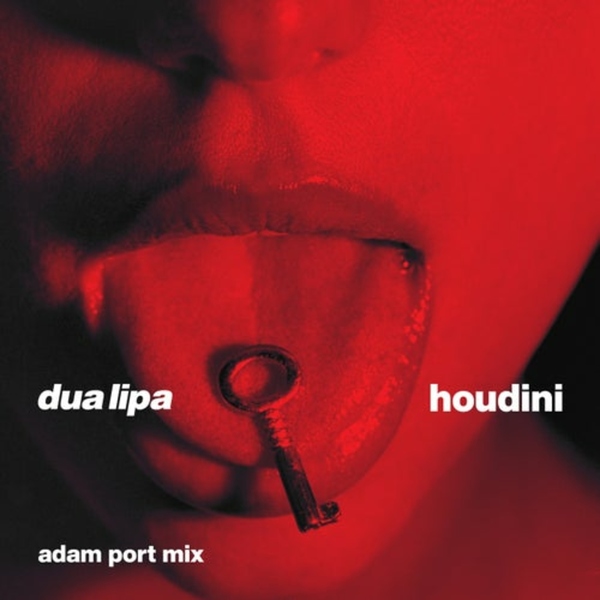 Cover de Houdini (Adam Port Mix) - Dua Lipa